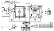 Насос OT100 P16 R/G18P1