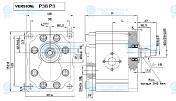 Насос OT300 P22 R/P38P3