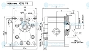 Насос OT300 P22 R/G38P3